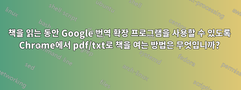 책을 읽는 동안 Google 번역 확장 프로그램을 사용할 수 있도록 Chrome에서 pdf/txt로 책을 여는 방법은 무엇입니까?