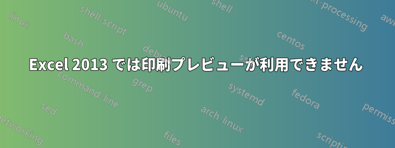 Excel 2013 では印刷プレビューが利用できません