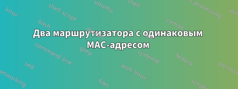 Два маршрутизатора с одинаковым MAC-адресом