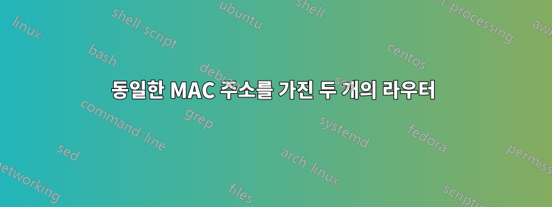 동일한 MAC 주소를 가진 두 개의 라우터