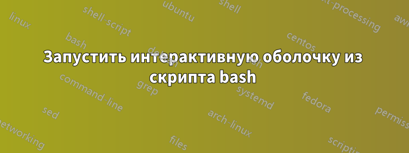 Запустить интерактивную оболочку из скрипта bash