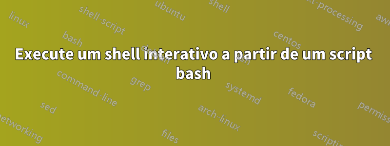 Execute um shell interativo a partir de um script bash