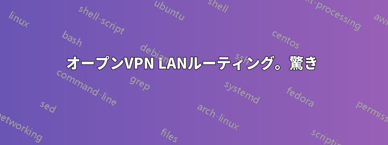 オープンVPN LANルーティング。驚き