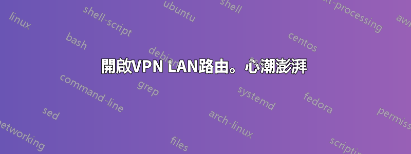 開啟VPN LAN路由。心潮澎湃