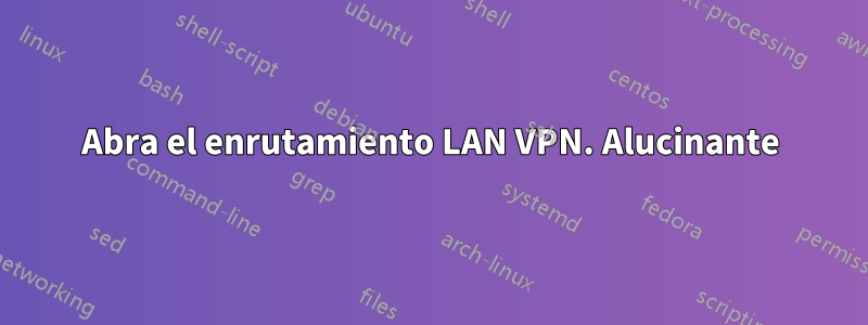 Abra el enrutamiento LAN VPN. Alucinante