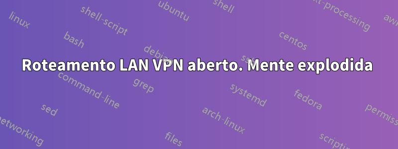 Roteamento LAN VPN aberto. Mente explodida