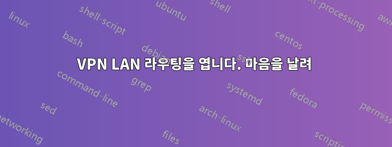 VPN LAN 라우팅을 엽니다. 마음을 날려