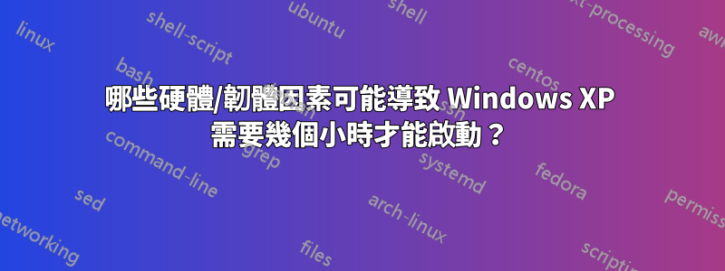 哪些硬體/韌體因素可能導致 Windows XP 需要幾個小時才能啟動？