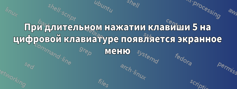 При длительном нажатии клавиши 5 на цифровой клавиатуре появляется экранное меню