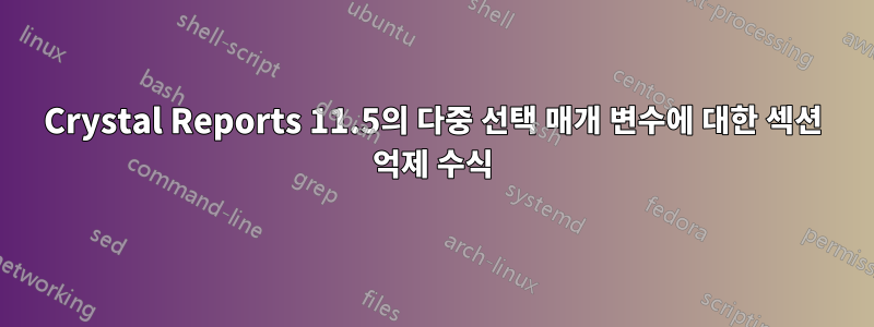 Crystal Reports 11.5의 다중 선택 매개 변수에 대한 섹션 억제 수식