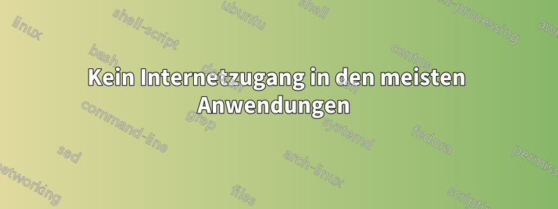 Kein Internetzugang in den meisten Anwendungen 