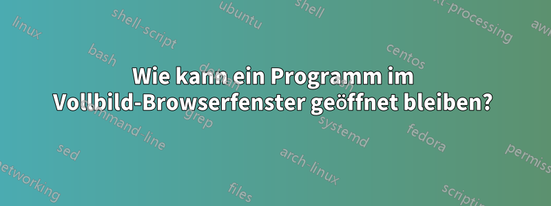 Wie kann ein Programm im Vollbild-Browserfenster geöffnet bleiben?