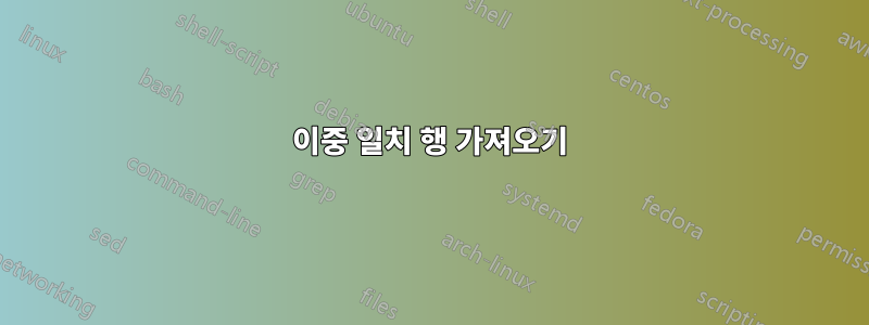 이중 일치 행 가져오기