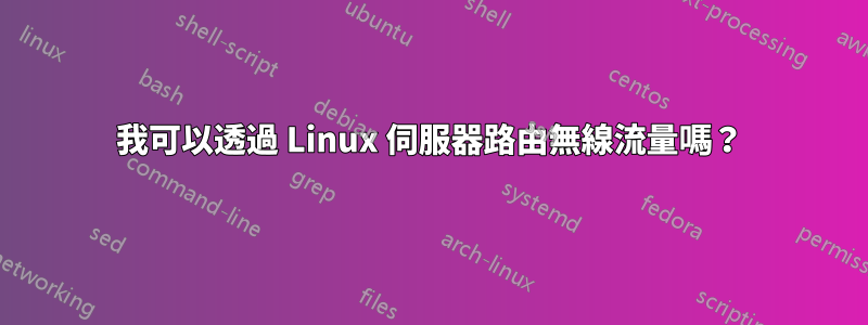 我可以透過 Linux 伺服器路由無線流量嗎？