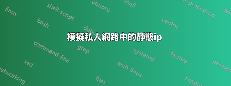 模擬私人網路中的靜態ip