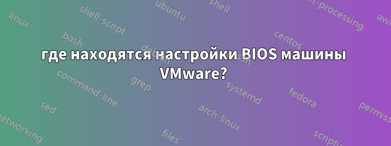 где находятся настройки BIOS машины VMware?