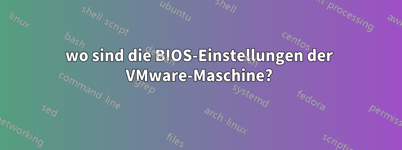 wo sind die BIOS-Einstellungen der VMware-Maschine?