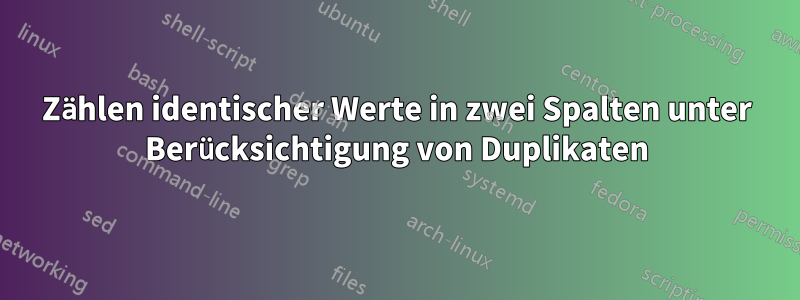 Zählen identischer Werte in zwei Spalten unter Berücksichtigung von Duplikaten