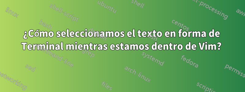 ¿Cómo seleccionamos el texto en forma de Terminal mientras estamos dentro de Vim?