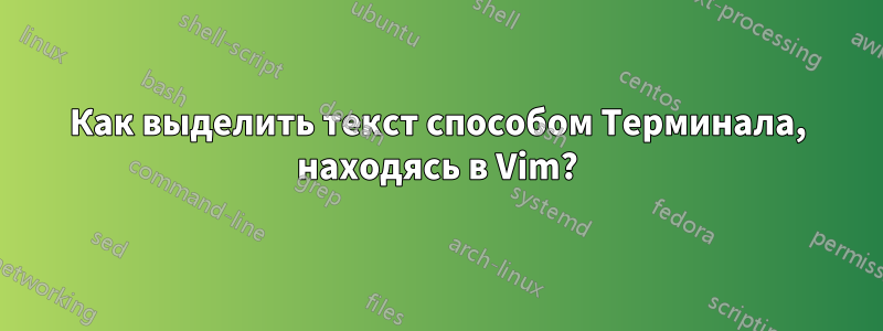 Как выделить текст способом Терминала, находясь в Vim?