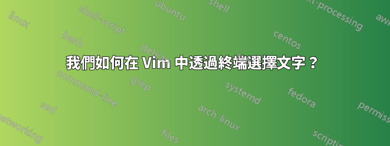 我們如何在 Vim 中透過終端選擇文字？