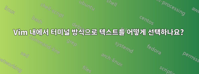 Vim 내에서 터미널 방식으로 텍스트를 어떻게 선택하나요?