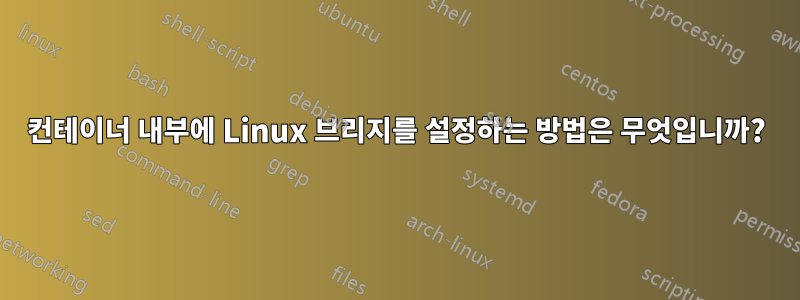 컨테이너 내부에 Linux 브리지를 설정하는 방법은 무엇입니까?