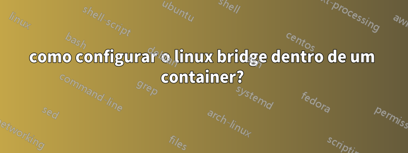 como configurar o linux bridge dentro de um container?