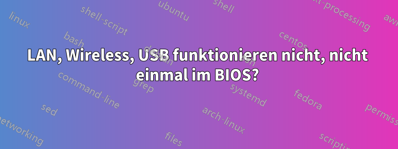 LAN, Wireless, USB funktionieren nicht, nicht einmal im BIOS?