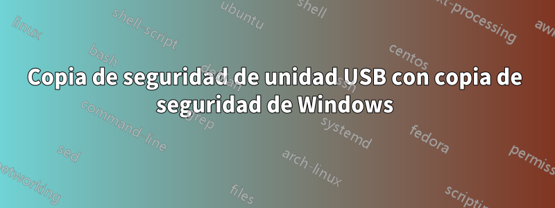 Copia de seguridad de unidad USB con copia de seguridad de Windows