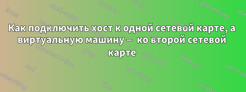 Как подключить хост к одной сетевой карте, а виртуальную машину — ко второй сетевой карте