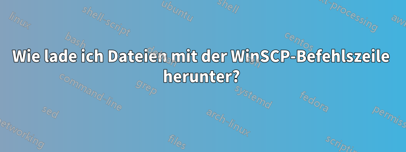 Wie lade ich Dateien mit der WinSCP-Befehlszeile herunter?