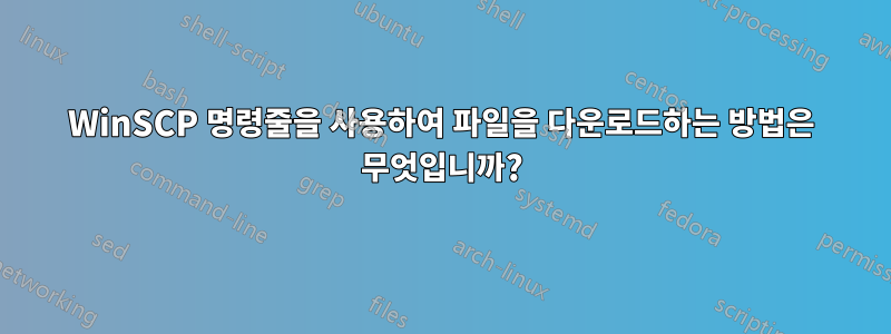 WinSCP 명령줄을 사용하여 파일을 다운로드하는 방법은 무엇입니까?