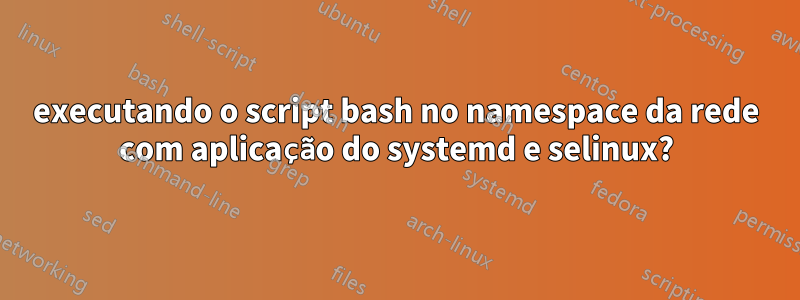 executando o script bash no namespace da rede com aplicação do systemd e selinux?