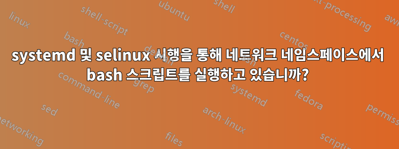 systemd 및 selinux 시행을 통해 네트워크 네임스페이스에서 bash 스크립트를 실행하고 있습니까?