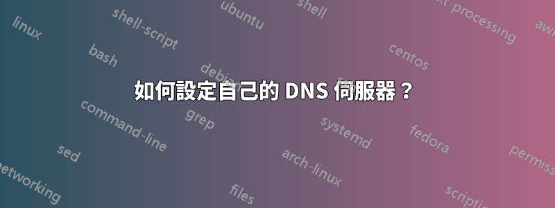 如何設定自己的 DNS 伺服器？