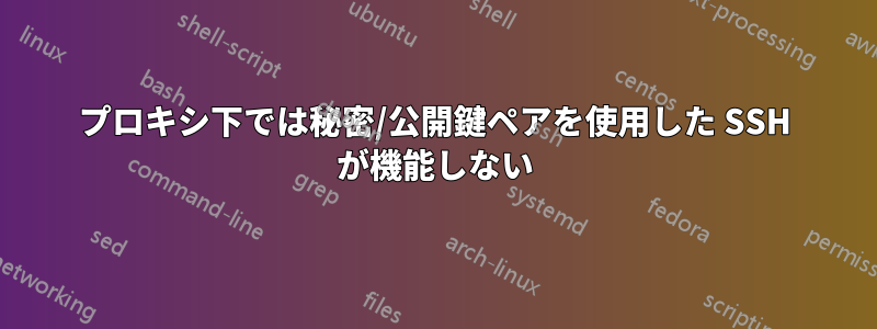 プロキシ下では秘密/公開鍵ペアを使用した SSH が機能しない