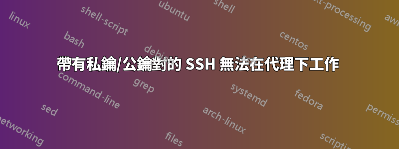 帶有私鑰/公鑰對的 SSH 無法在代理下工作