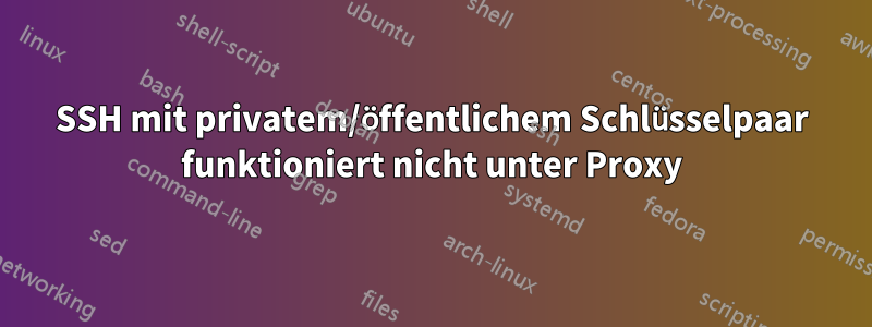 SSH mit privatem/öffentlichem Schlüsselpaar funktioniert nicht unter Proxy