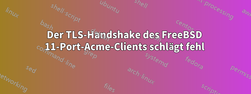 Der TLS-Handshake des FreeBSD 11-Port-Acme-Clients schlägt fehl