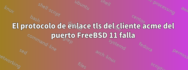 El protocolo de enlace tls del cliente acme del puerto FreeBSD 11 falla