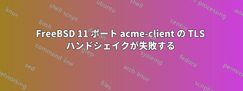 FreeBSD 11 ポート acme-client の TLS ハンドシェイクが失敗する