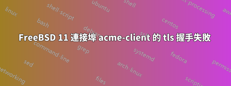 FreeBSD 11 連接埠 acme-client 的 tls 握手失敗