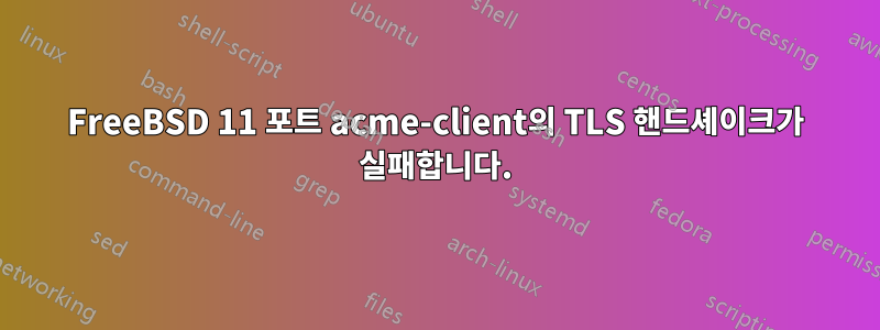 FreeBSD 11 포트 acme-client의 TLS 핸드셰이크가 실패합니다.