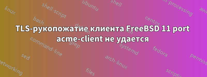 TLS-рукопожатие клиента FreeBSD 11 port acme-client не удается