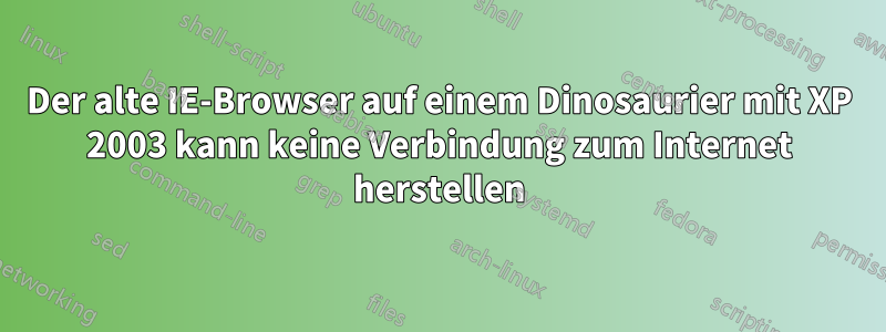 Der alte IE-Browser auf einem Dinosaurier mit XP 2003 kann keine Verbindung zum Internet herstellen