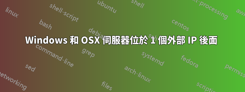 Windows 和 OSX 伺服器位於 1 個外部 IP 後面