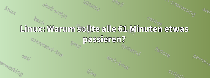 Linux: Warum sollte alle 61 Minuten etwas passieren?