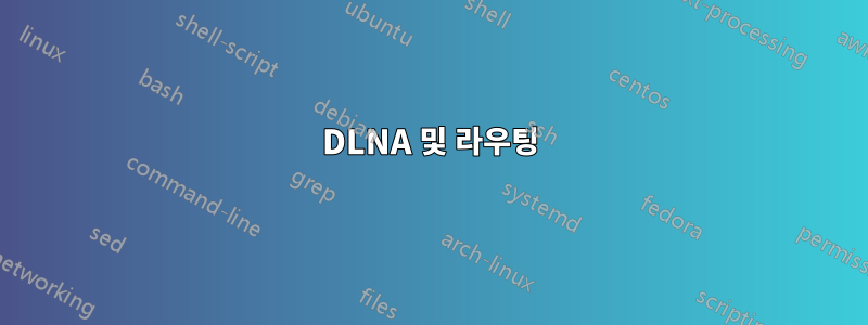 DLNA 및 라우팅