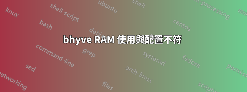 bhyve RAM 使用與配置不符